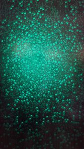 Kunststoffpaneelen in Grün