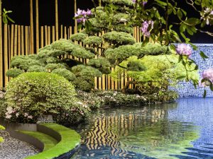 Projekt «Idee und Vision» von Reinhold Borsch